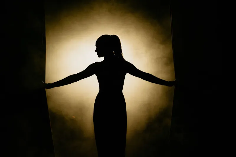 There Is No Finish Line: How Entertainment Careers Became Endless Reinvention Machines